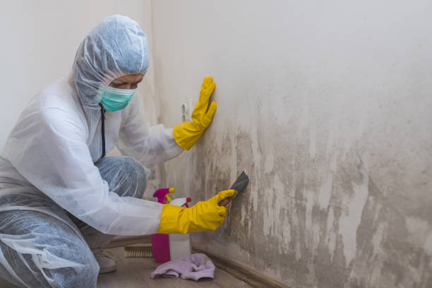 Mold Remediation for Rental Properties in Kirtland Af, NM